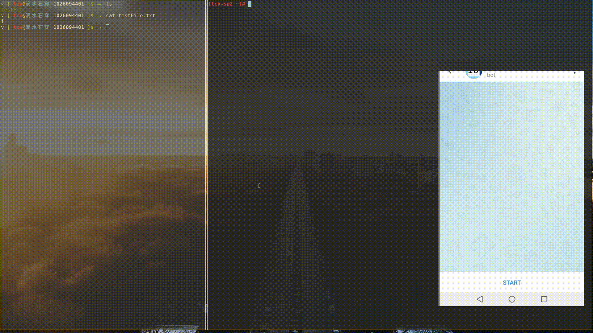 Screen recording: the Telegram bot systemd service is started from a terminal, a watched file is modified in another terminal, and the new file contents arrive as a message in the Telegram bot chat on a phone